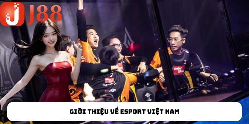 Giới thiệu về Esport Việt Nam
