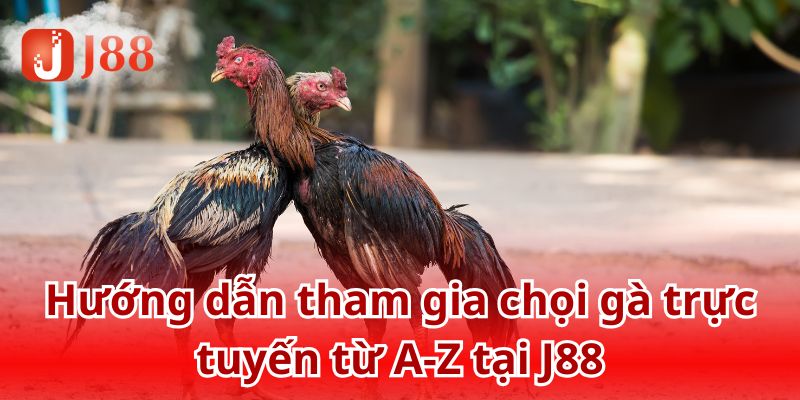 J88 luôn biết cách để mang đến cho khách hàng trải nghiệm trọn vẹn nhất
